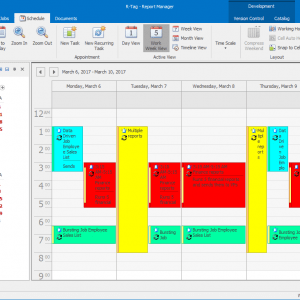 RT Crystal Reports bundle (formerly R-Tag)