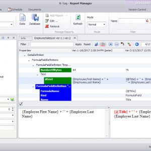 RT Version Control for Crystal Reports (formerly R-Tag)